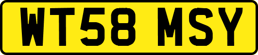 WT58MSY