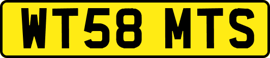 WT58MTS