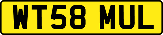 WT58MUL