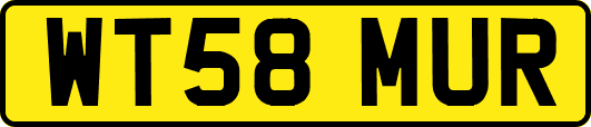WT58MUR
