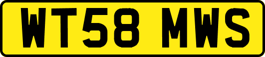 WT58MWS