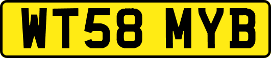 WT58MYB