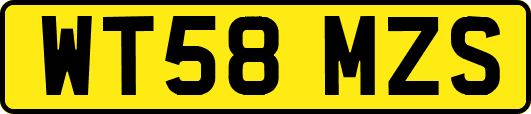 WT58MZS