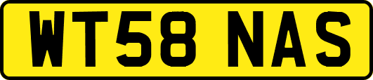 WT58NAS