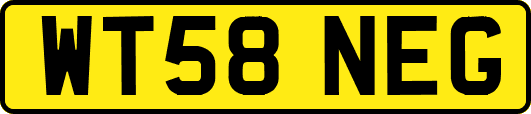 WT58NEG