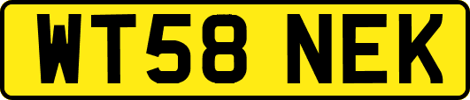 WT58NEK