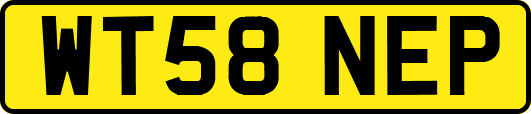 WT58NEP