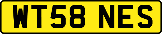 WT58NES
