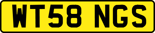WT58NGS