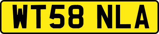 WT58NLA