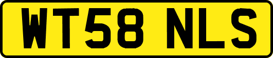 WT58NLS