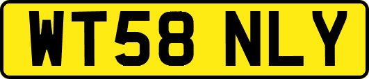 WT58NLY