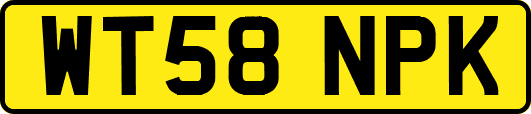 WT58NPK