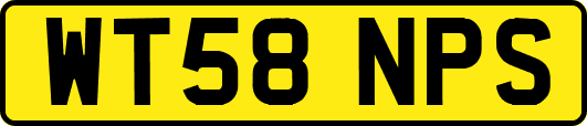 WT58NPS