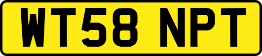 WT58NPT