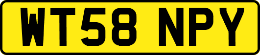 WT58NPY