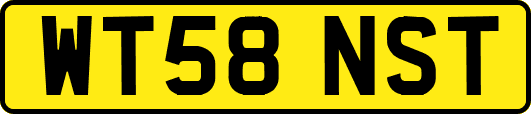 WT58NST