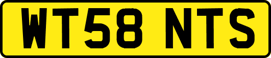 WT58NTS