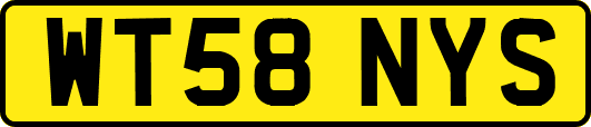 WT58NYS