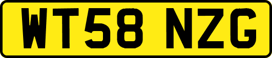 WT58NZG