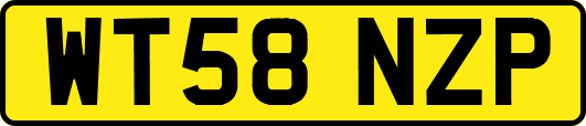 WT58NZP
