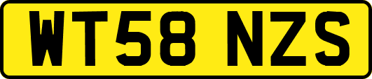 WT58NZS
