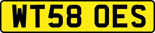 WT58OES