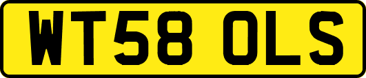 WT58OLS