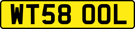 WT58OOL