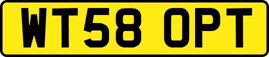 WT58OPT