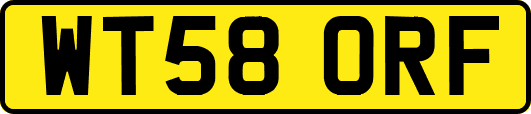 WT58ORF