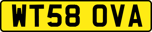 WT58OVA