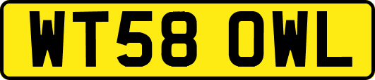 WT58OWL