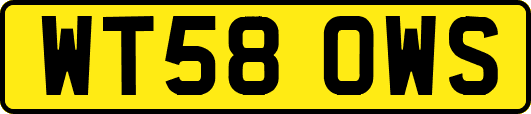 WT58OWS