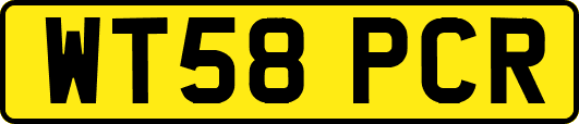 WT58PCR