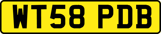 WT58PDB