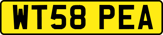 WT58PEA