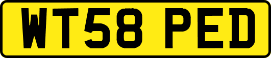 WT58PED