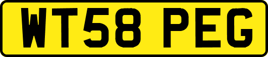 WT58PEG
