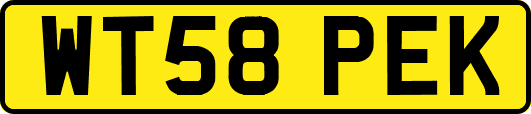 WT58PEK
