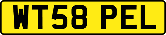 WT58PEL