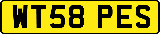 WT58PES