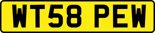 WT58PEW