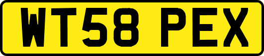 WT58PEX