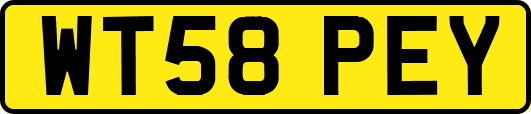 WT58PEY