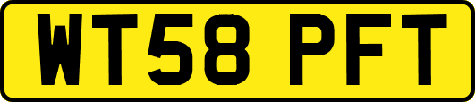 WT58PFT
