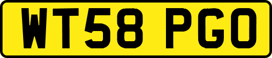 WT58PGO