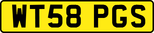 WT58PGS