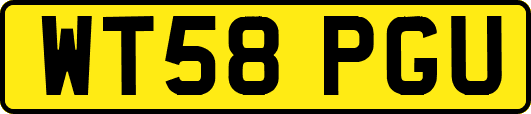 WT58PGU