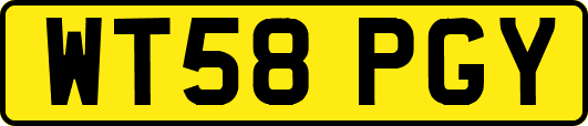 WT58PGY
